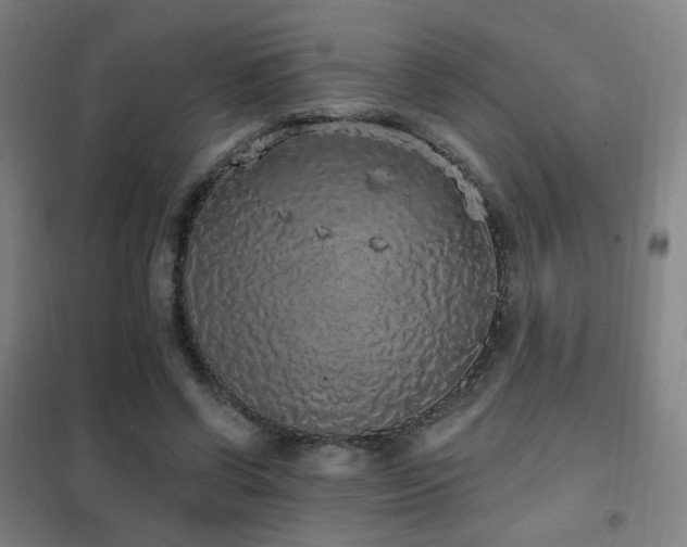 X0000102290542200807251424