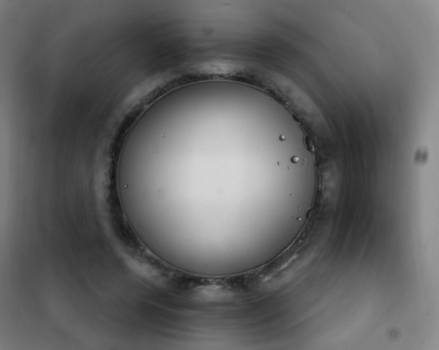X0000102290544200807251424