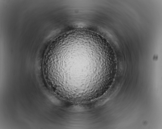 X0000102290545200807251424