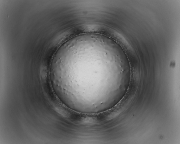 X0000102290549200807251424