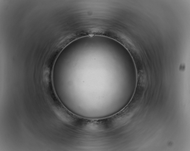 X0000102290550200807251424