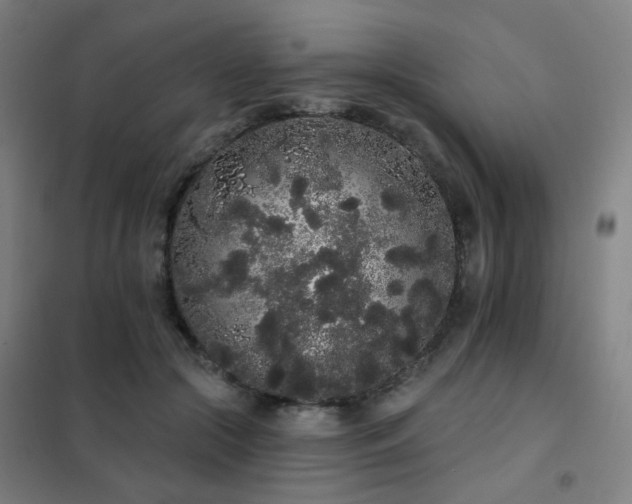 X0000102290553200807251424