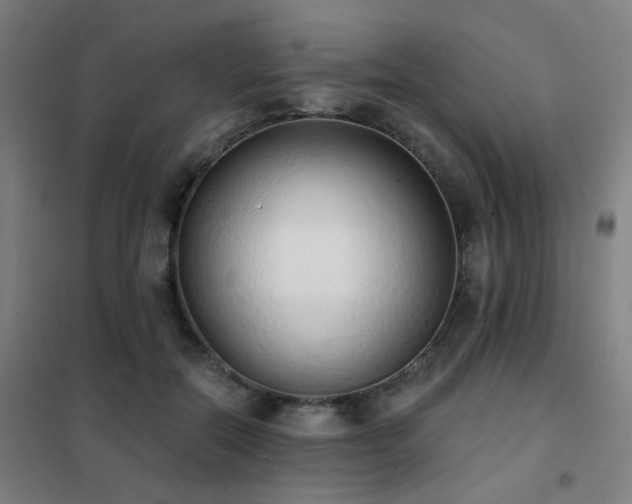 X0000102290554200807251424
