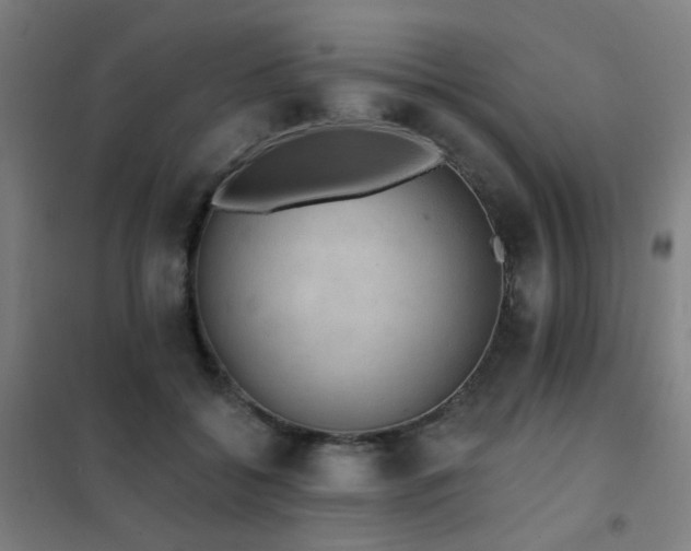 X0000102290556200807251424