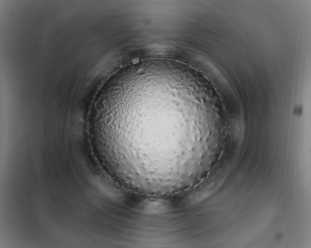 X0000102290557200807251424