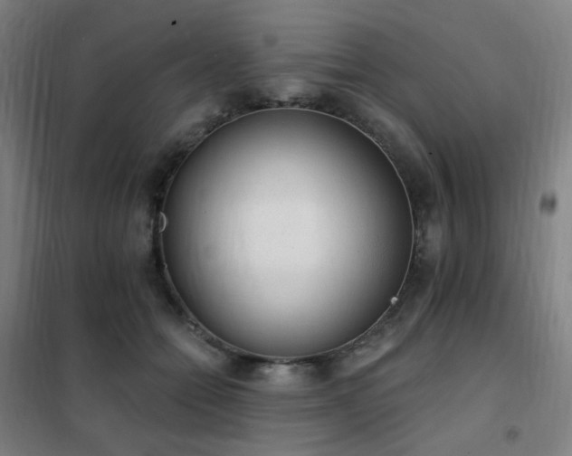 X0000102290558200807251424