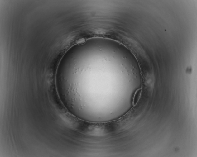 X0000102290559200807251424