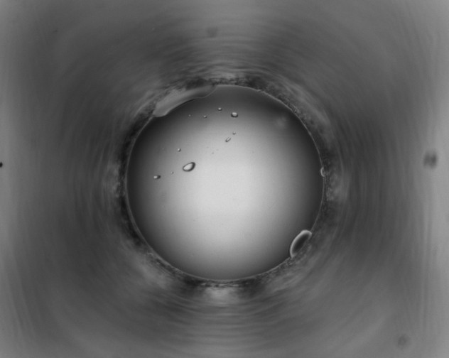 X0000102290560200807251424