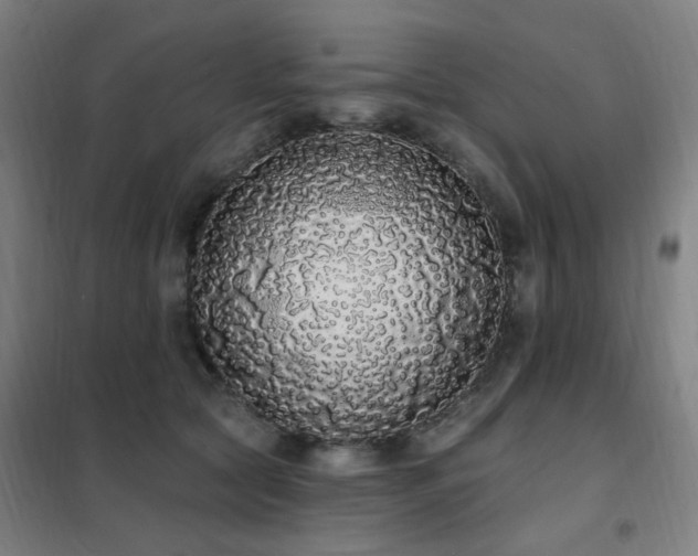 X0000102290561200807251424