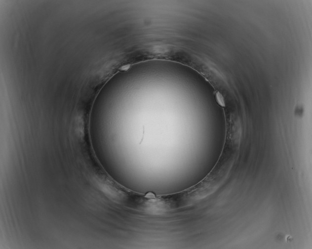 X0000102290562200807251424