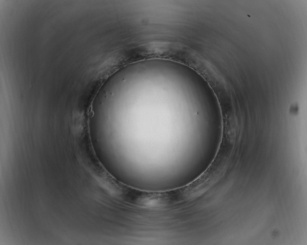 X0000102290563200807251424