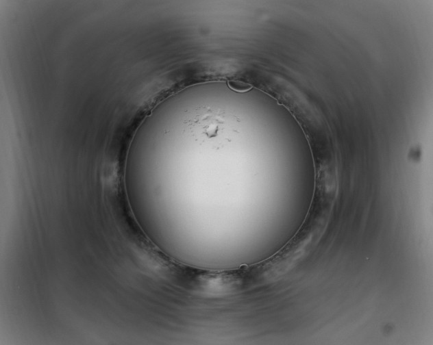 X0000102290564200807251424