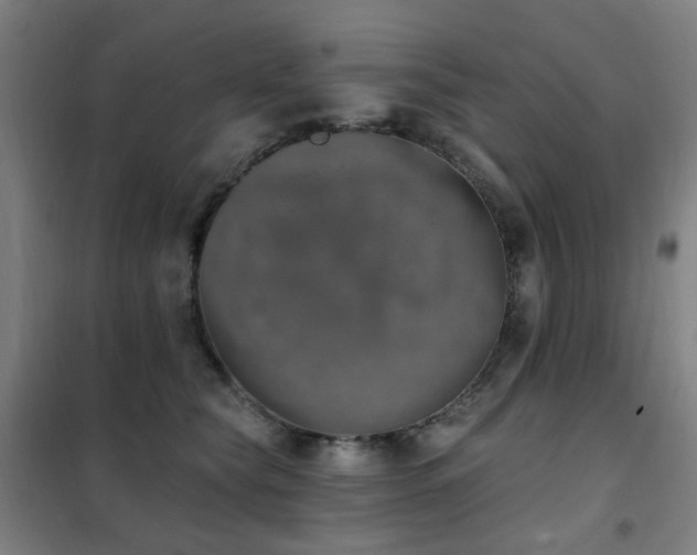 X0000102290565200807251424