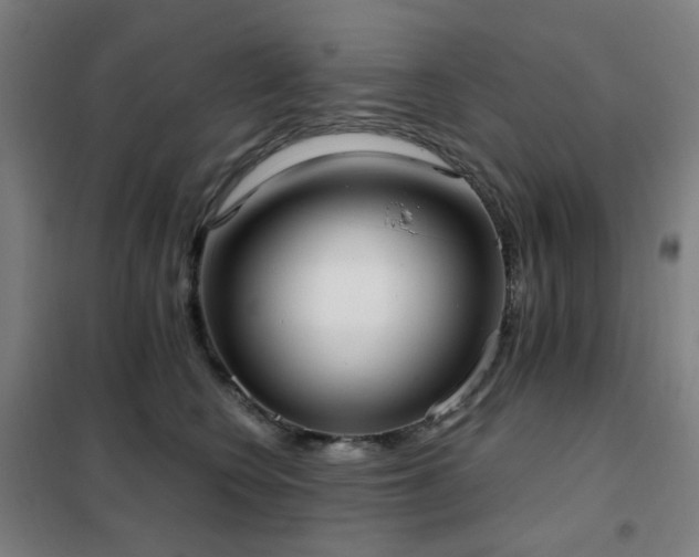 X0000102290566200807251424