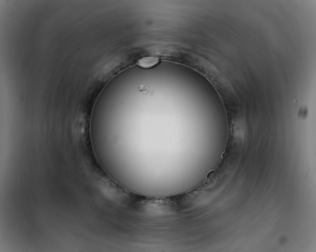 X0000102290567200807251424