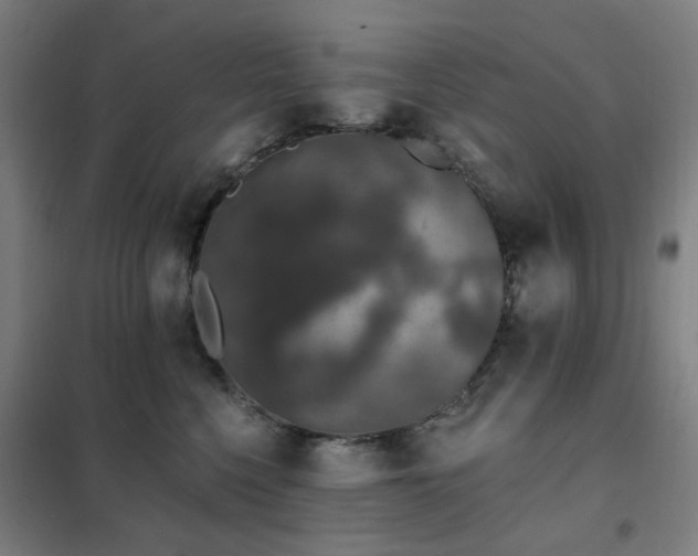 X0000102290568200807251424