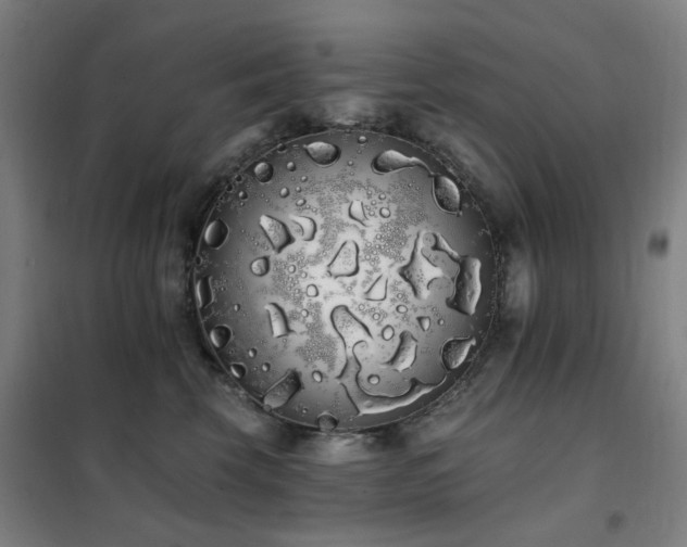 X0000102290569200807251424