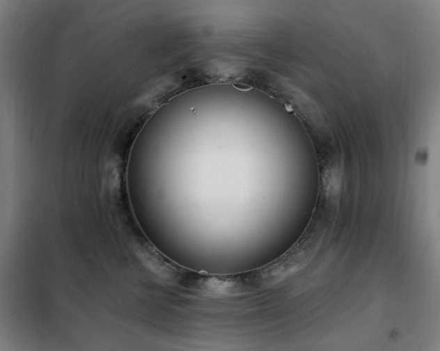 X0000102290570200807251424