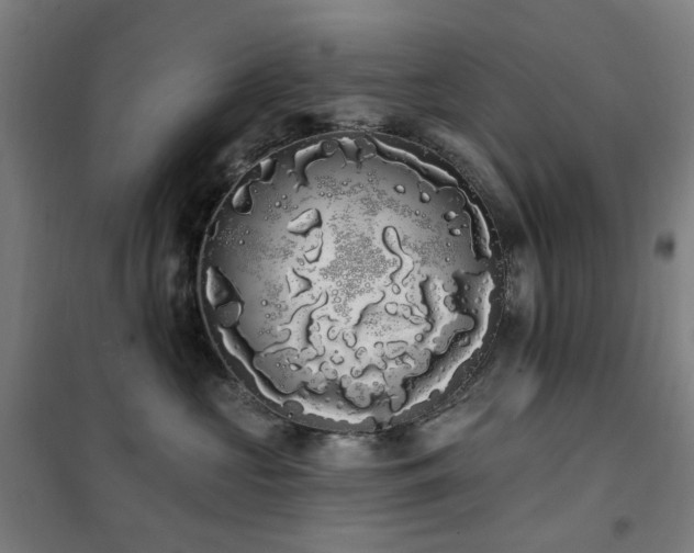 X0000102290573200807251424