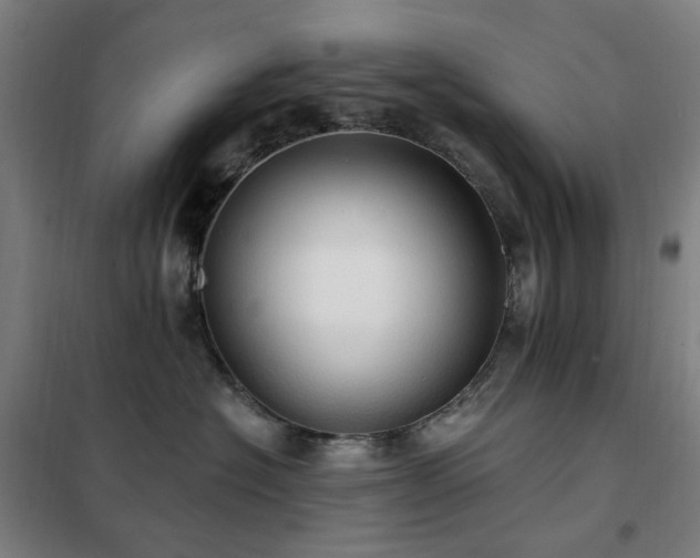 X0000102290574200807251424