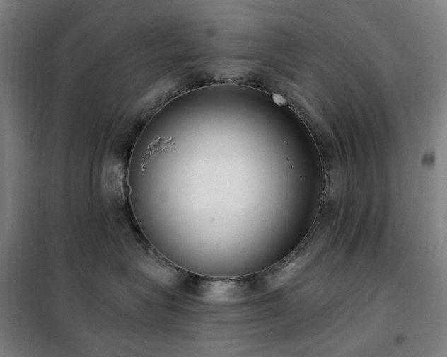 X0000102290575200807251424