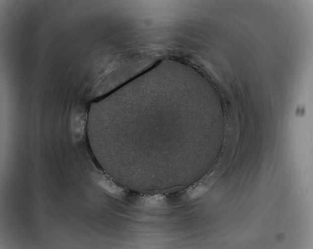 X0000102290576200807251424