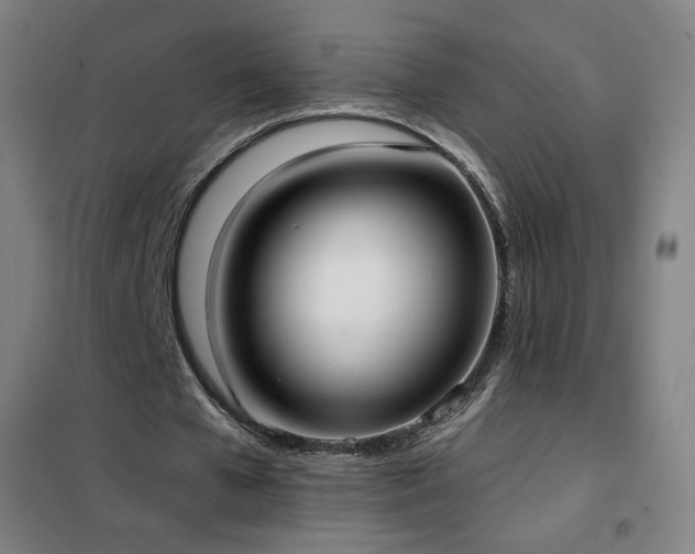 X0000102290577200807251424