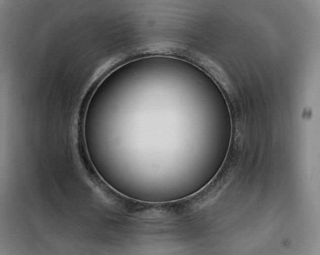 X0000102290578200807251424