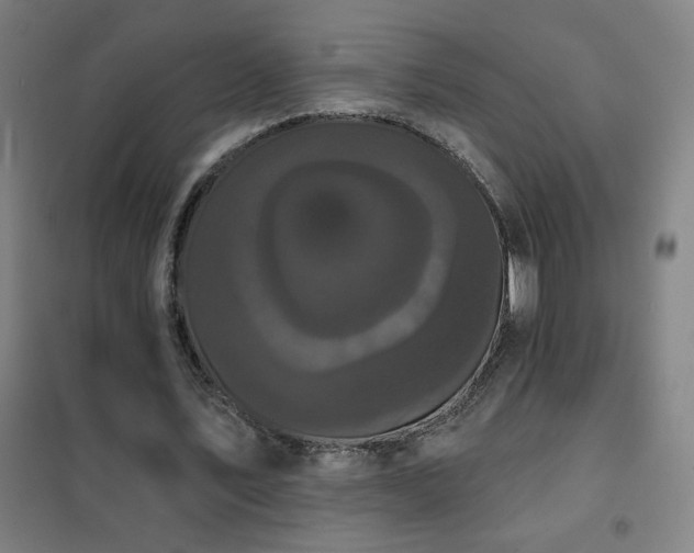X0000102290579200807251424