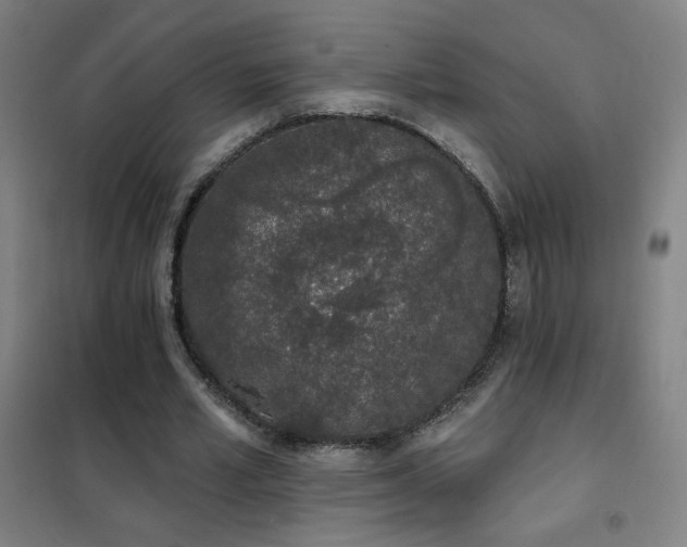 X0000102290581200807251424
