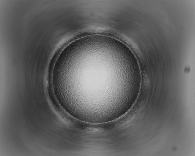X0000102290582200807251424