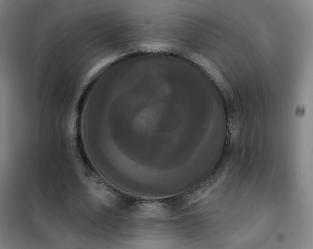 X0000102290583200807251424