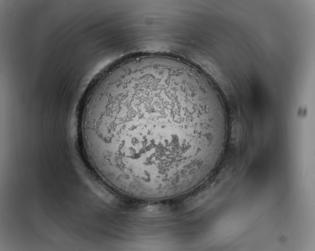 X0000102290584200807251424