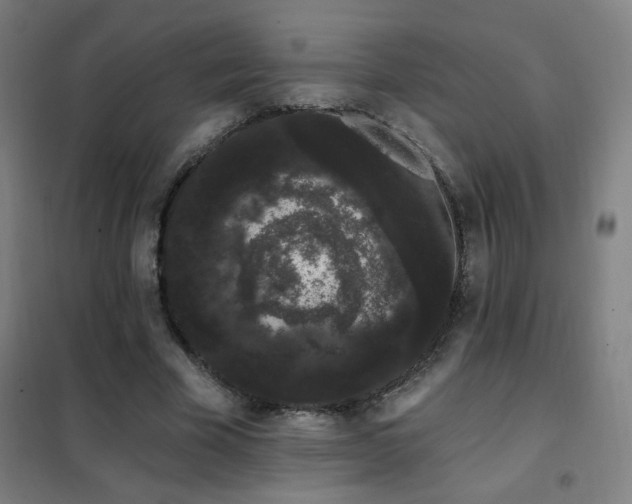 X0000102290585200807251424