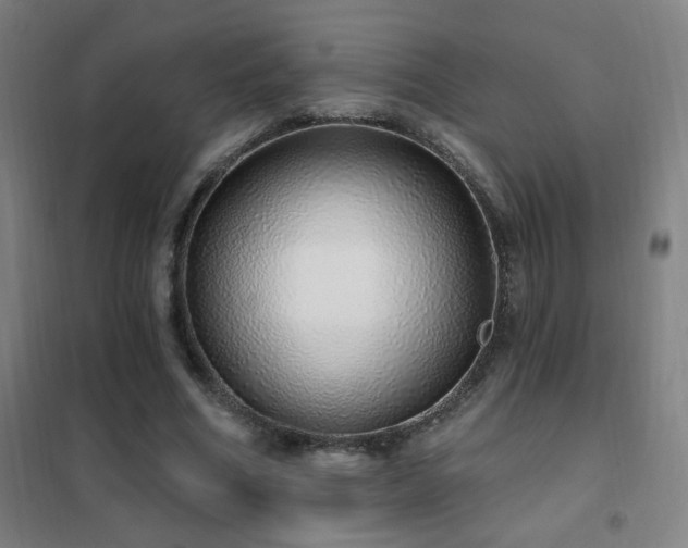 X0000102290586200807251424