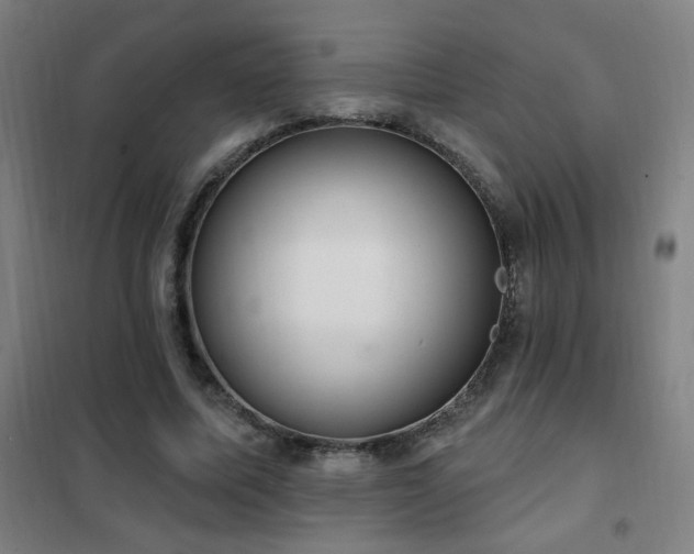 X0000102290587200807251424