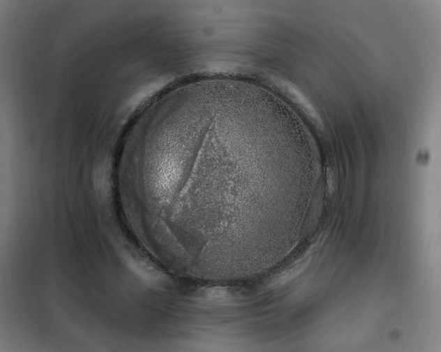 X0000102290588200807251424