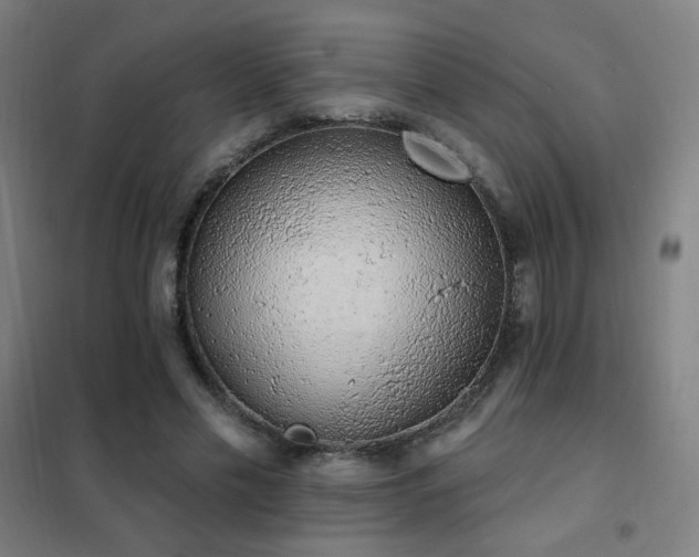 X0000102290589200807251423