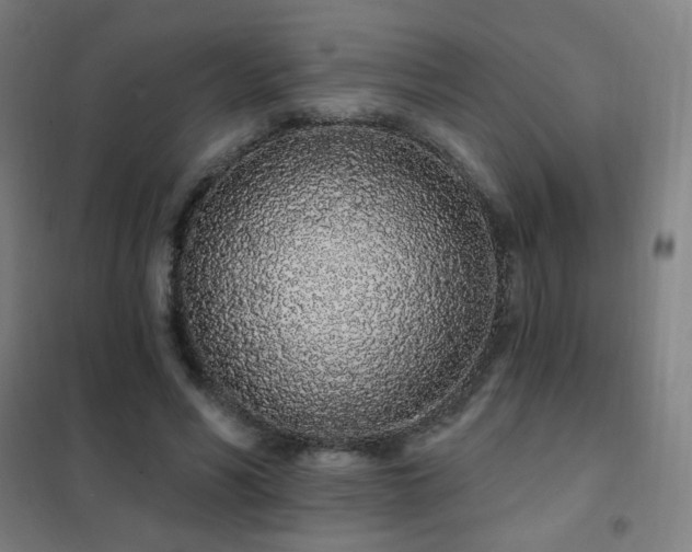 X0000102290590200807251423
