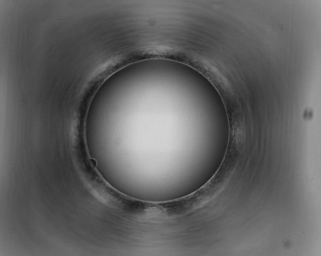 X0000102290591200807251423