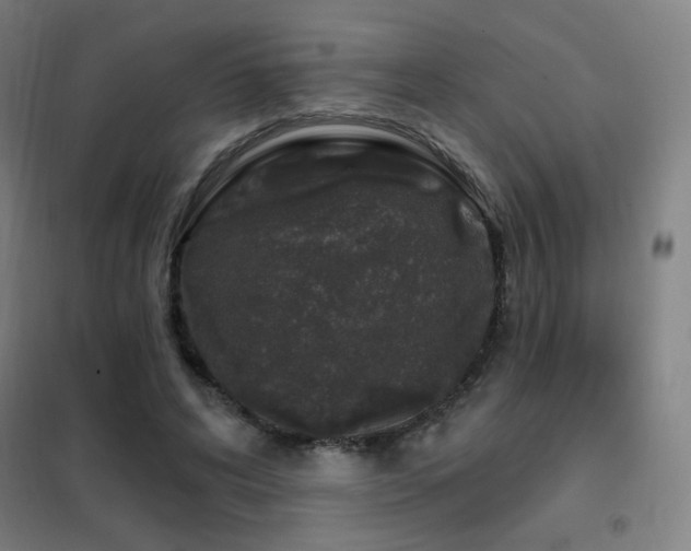 X0000102290592200807251423