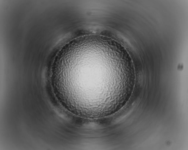 X0000102290594200807251423