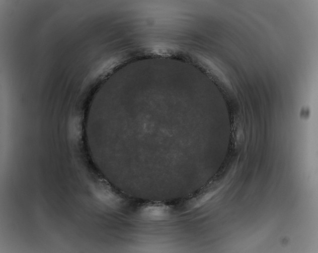 X0000102290595200807251423
