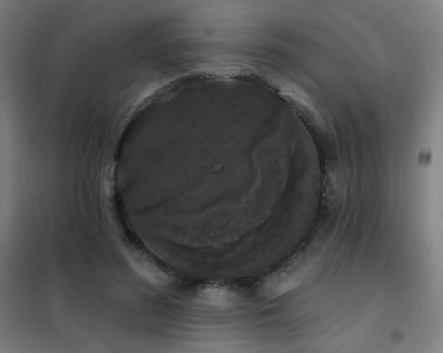 X0000102290596200807251423