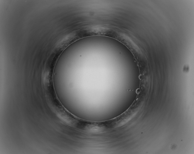 X0000102290597200807251423