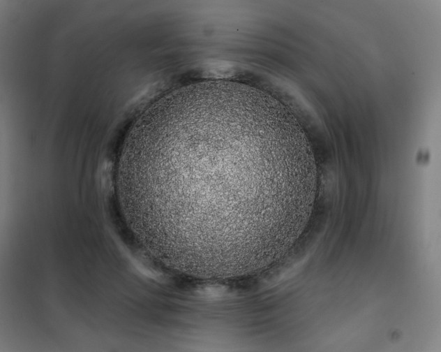 X0000102290598200807251423