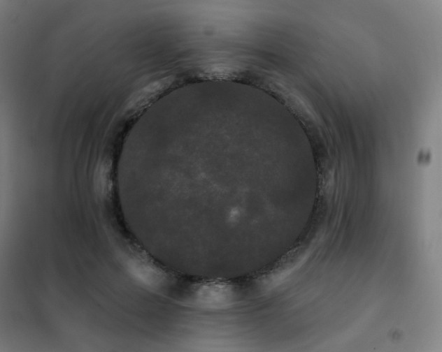 X0000102290599200807251423