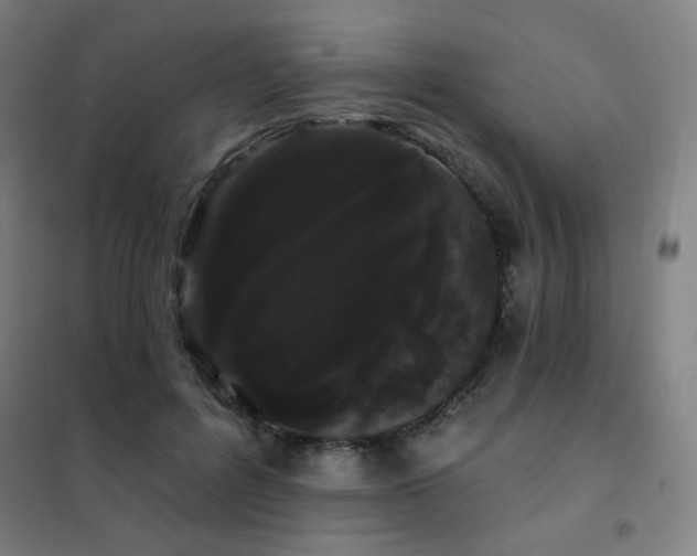 X0000102290600200807251423