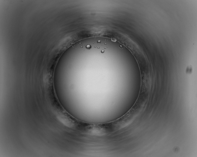 X0000102290601200807251423