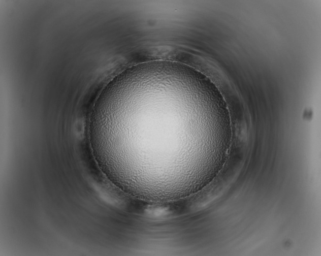 X0000102290602200807251423